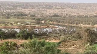                                                        دندنها