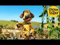 Download Lagu Shaun the Sheep 🐑 Farm Dog! - Cartoons for Kids 🐑 Full Episodes Compilation [1 hour]