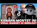 Download Lagu KENAPA KARAKTER MONYET INI VIRAL BANGET?