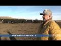 Inside Chad Berger s championship ranch and North Dakota legacy