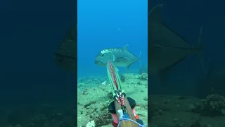 صيد السمك Fishing 