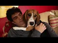 The Humane Society of the United States Addresses the Pet Poverty Crisis