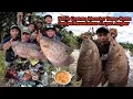 Download Lagu MANCING GURAME MONSTER DI SPOT SUNGAI PEDALAMAN PASAMAN BARAT TERNYATA STRIKE BERTUBI-TUBI