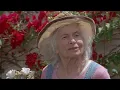 Top Dog - Chuck Norris Plants A Tree For His Mom Finds Out Some Information