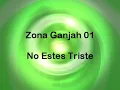 Zona Ganjah ''No Estes Triste''