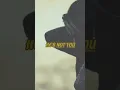 Download Lagu Not You - Alan Walker ft. Emma Steinbakken
