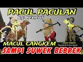 Download Lagu BAGONG MACUL CANGKEM,PAGELARAN WAYANG KULIT DALANG SENO NUGROHO