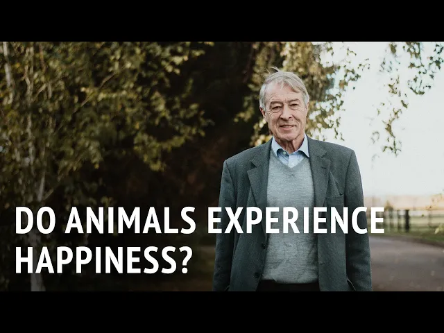 Do Animals Experience Happiness? | Prof. Donald Broom