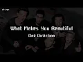 Download Lagu What Makes You Beautiful - One Direction ( speed up ) lyrics
