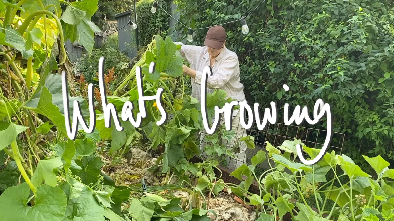 Youtube Thumbnail 47646b4271513478474555 