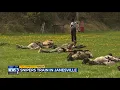 Snipers from around the country train in Janesville