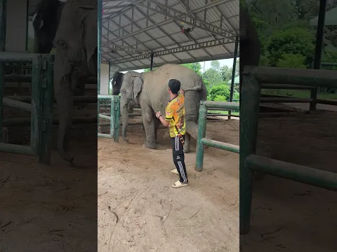 อย่าให้โดนนะ