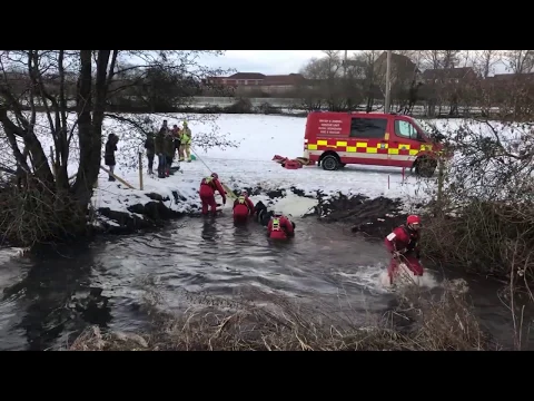 Crews carry out challenging animal rescue during cold spell