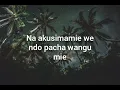 HARMONIZE-_- NITAUBEBA OFFICIAL VIDEO LYRICS.