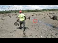 Download Lagu MENCARI KEPITING SUPER JUMBO, GAK NYANGKA DAPAT SEBANYAK INI ...