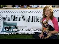 Linda Blair Cited After 251 Dogs Found at Rescue