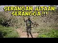 Download Lagu JIKA KAMI BERSAMA NYALAKAN TANDA BAHAYA !!! | KOLONI SERANGGA BERBAHAYA !!!