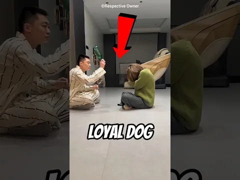 Loyal Dog 😱