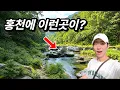 Easy Level Cool Forest Trail Even in Heat Fantastic Valley Trekking Day Trip