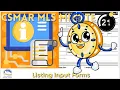 MLS Minute Listing Input Forms