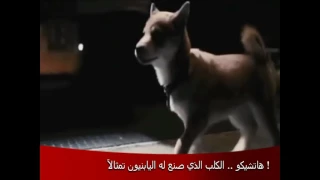 موسيقى حزينة مع قصة كلب وفي 