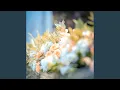 Download Lagu Bie Shuo Wo De Yan Lei Ni Wu Suo Wei