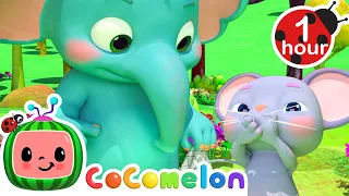 Don T Forget To Catch Your Sneeze CoComelon Nursery Rhymes Kids Songs 