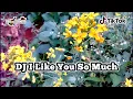 Lagu DJ Remix I Like You So Much Terbaru Full Bass 2K20