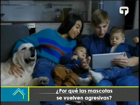 ¿Por qué las mascotas se vuelven agresivas?