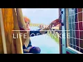 Life on Yankee