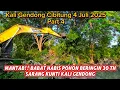 Download Lagu NEKAD‼️Excavator Babat Pohon Beringin Sarang Kunti 30 Tahun❗Kali Gendong Semakin Lancar