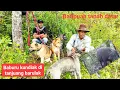 Download Lagu Baburu babi di nagari tanjuang barulak batipuah tanah datar