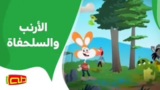 الأرنب والسلحفاة   قصص إنشادية دندنها