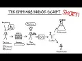 Funnel Scripts I Epiphany Bridge Script SHORT Version