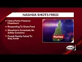 Nashua police investigate report of shots fired