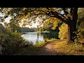 Download Lagu a playlist for dreamy autumn days 🍁🌤️🍂