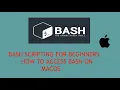 Bash Scripting For Beginners - How to Access Bash on MacOS