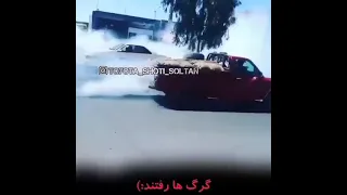 شوتی سواران بلوچ Elx شوتی سوار شوتی سواران شوتی شوتیelx Shorts بلوچستان بلوچی 