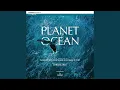 Download Lagu Manta Ray