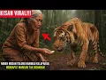 Download Lagu NENEK MISKIN TOLONG HARIMAU KELAPARAN, MENDAPAT WARISAN TAK DISANGKA!