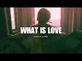 Download Lagu Haddaway - What Is Love (Noah Lane Remix)
