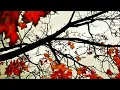 Mimosa - Keys to the City (Psychedelic Stereo)