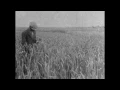Andy Shauf  "I'm Not Falling Asleep" (Official Video)