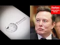 Elon Musk Takes On Wikipedia With AI-Generated Grokipedia What To Know
