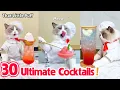 Download Lagu Meow Chef: 30 Ultimate Cocktails! 🍹| That Little Puff