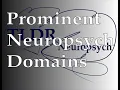 Prominent Cognitive Domains