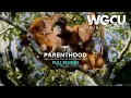 April 2026 New This Month PBS Passport