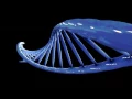 DNA strands AfterEffects