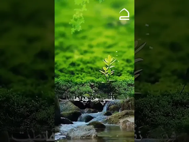 ⁣#دعاء_الصباح  إِلَهِي أَتَرَانِي مَا أَتَيْتُكَ إِلَّا مِنْ حَيْثُ الآمَالُ،