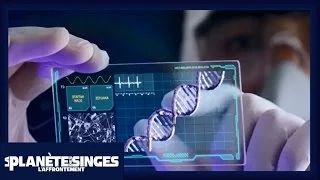 La Planète des Singes : L'Affrontement - La Propagation du Virus [Officielle] VOST HD